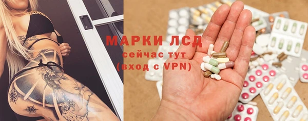 крисы Аркадак
