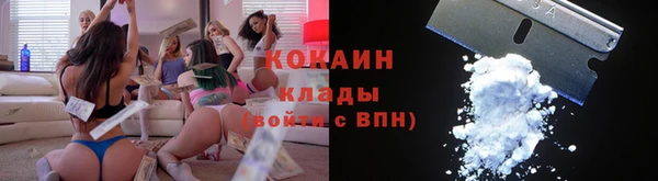 прущие грибы Арсеньев