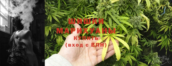 прущие грибы Арсеньев
