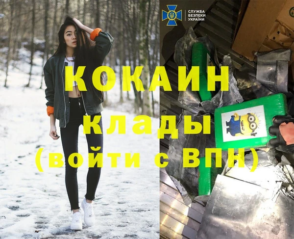 прущие грибы Арсеньев