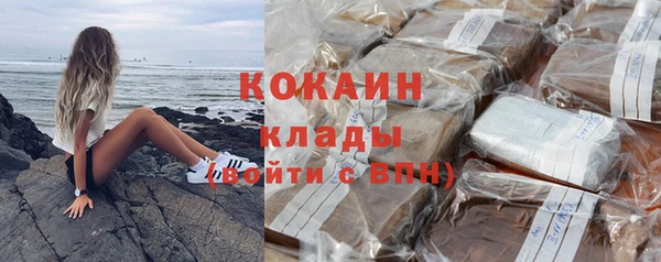 прущие грибы Арсеньев