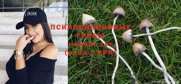 первитин Армянск