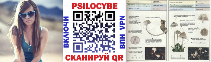 Галлюциногенные грибы Magic Shrooms Тимашёвск