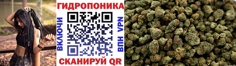 Бошки марихуана план Тимашёвск